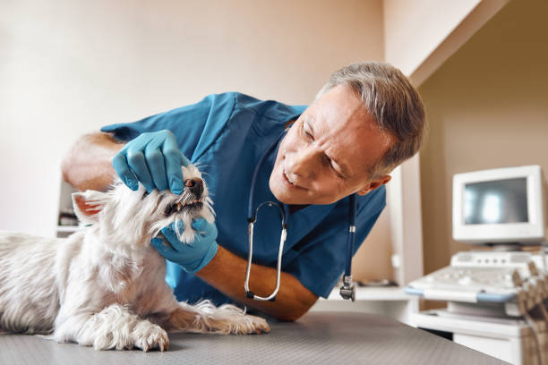 Best Emergency Dental Clinic in KS